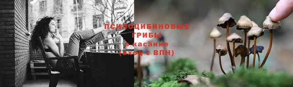 прущий лед Богородицк